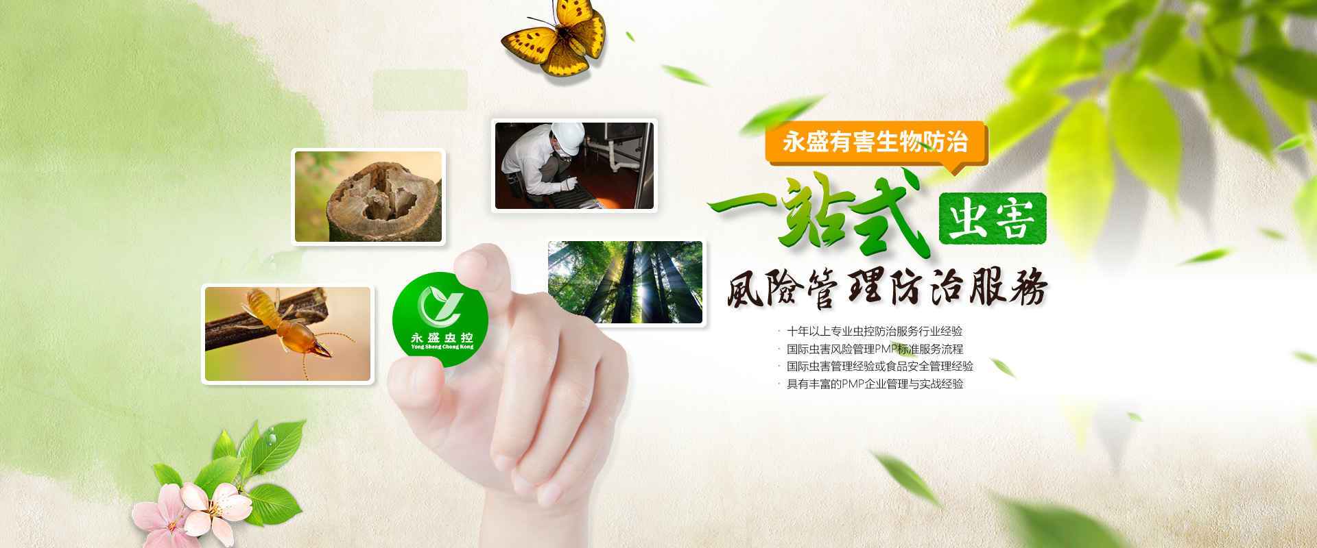 中山除甲醛，中山滅白蟻公司網(wǎng)站banner圖